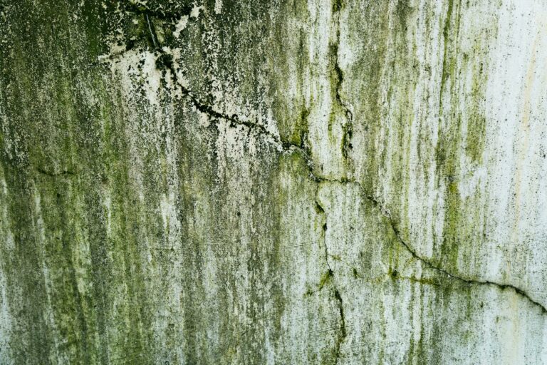 Cracked and Algae Dirty Plaster on Wall