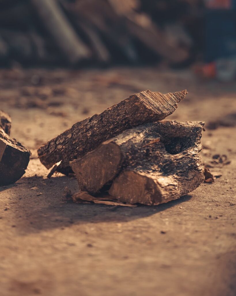 Close-up of Pieces of Chopped Wood